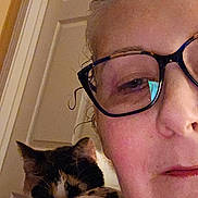 Miss Bee is registered to the contest to win money with this photo: animal, calico_cat, cat, closeup, cozy, door, eyewear, face, floral_pattern, glasses, indoor, person, pet, portrait, resting, shoulder, skin, sleeping_cat, tattoo, woman