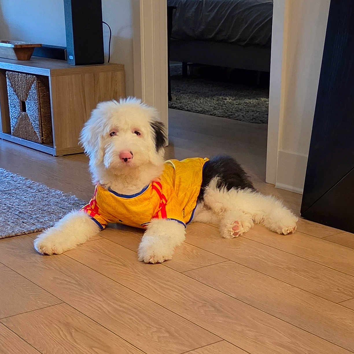 Kumo