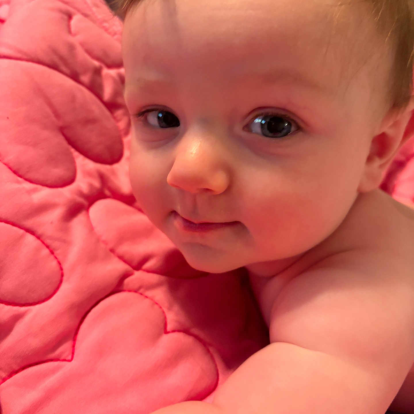 Brentlee joined the competition — help win amazing prizes! baby, infant, face, skin, arm, blanket, pink, quilted, heart_pattern, closeup, portrait, cute, child, young, expression, looking, indoor, soft_lighting, human, toddler