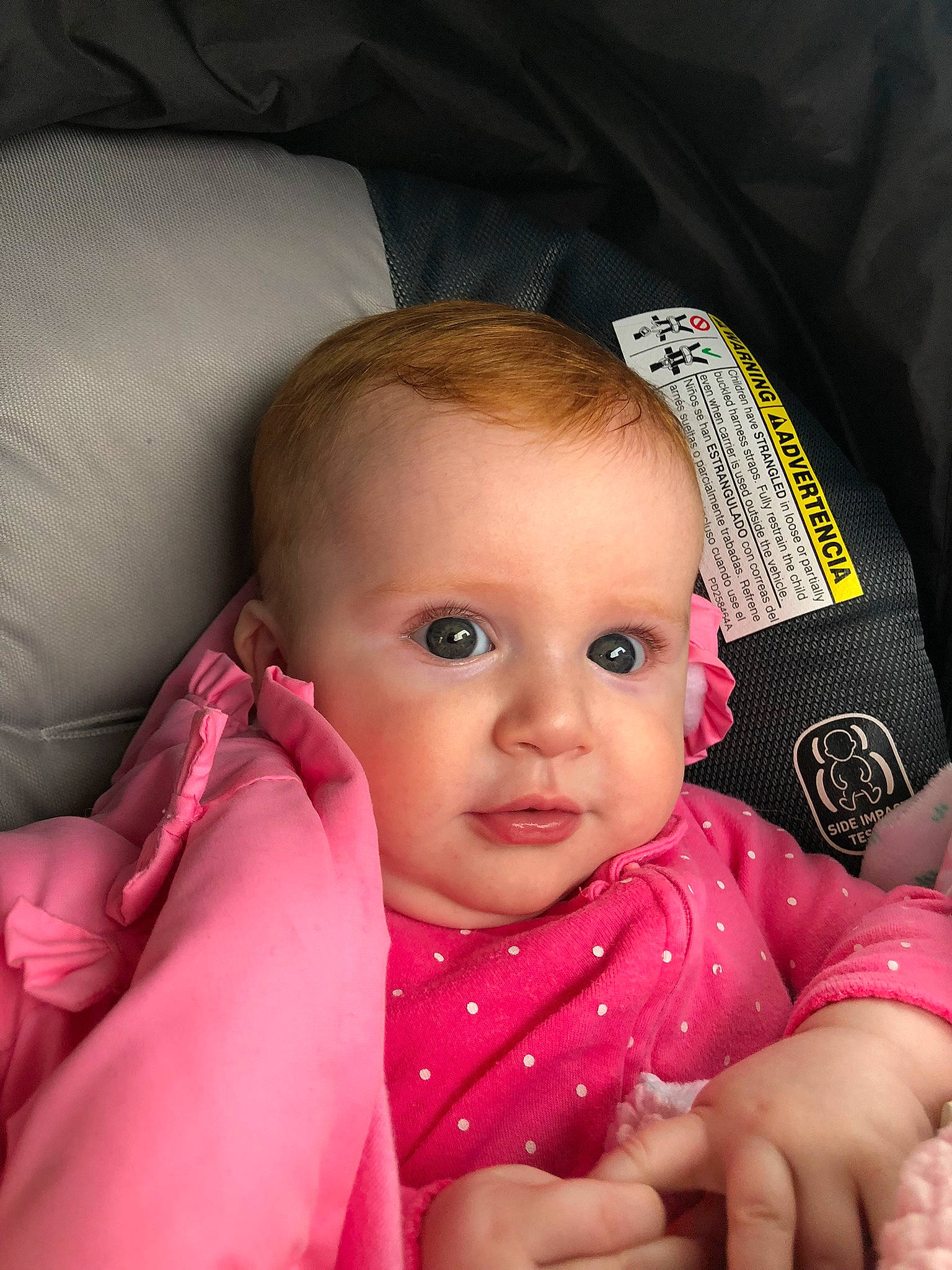 Annelise is registered to the contest to win money with this photo: baby, baby_in_car_seat, baby_toddler_clothing, car_seat, cheek, child, chin, comfort, eye, face, finger, gesture, head, mouth, nail, nose, person, skin, textile, thumb