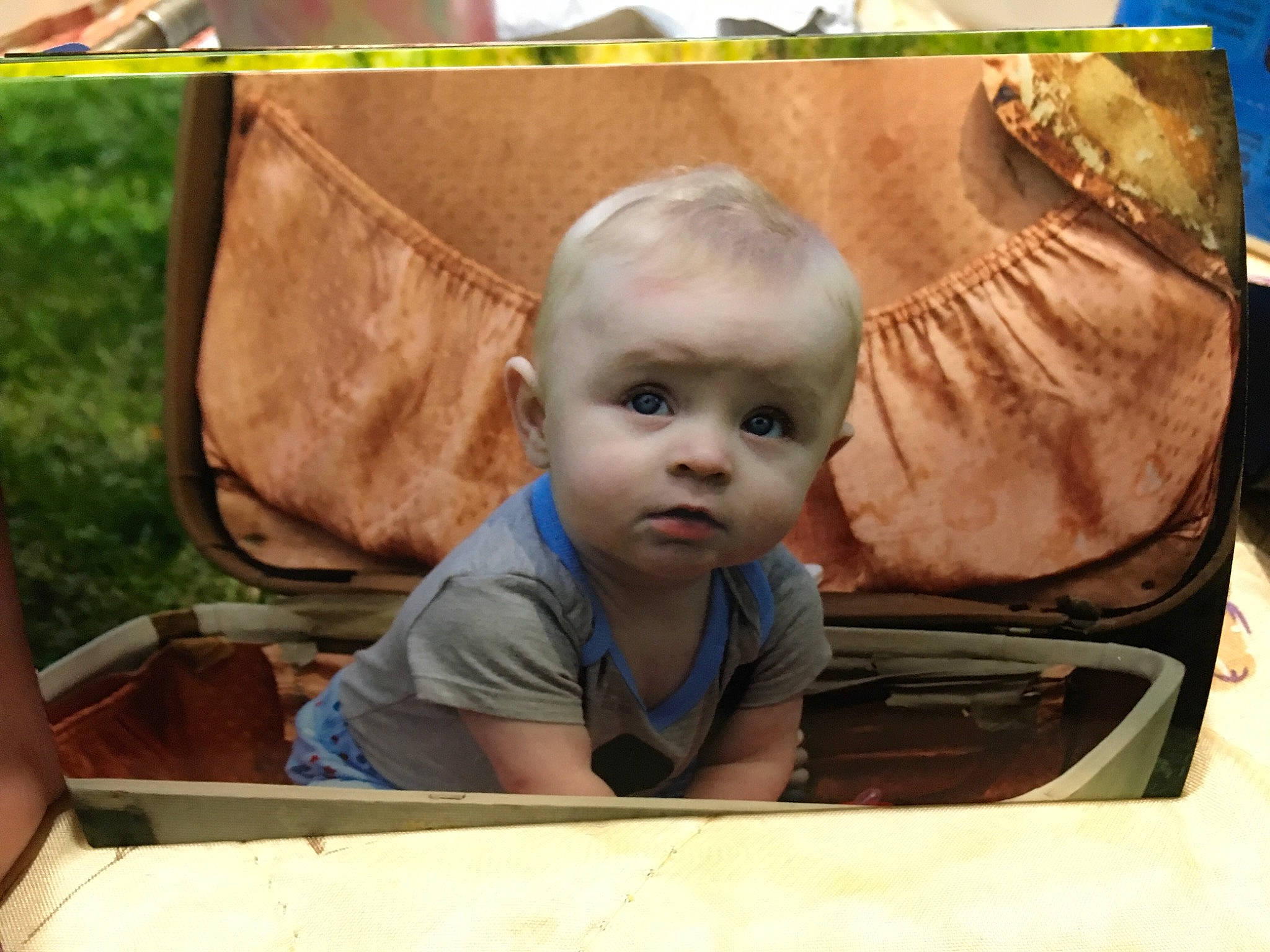 Blake is registered to the contest to win money with this photo: adaptation, art, baby, baby_toddler_clothing, chair, cheek, child, comfort, fun, grass, happy, leisure, person, plant, product, room, sitting, t_shirt, toddler, vacation