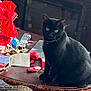 Salem joined the competition — help win amazing prizes! black_cat, cat, clutter, curious, decor, domestic_animal, feline, fireplace, furniture, home, indoor, living_room, packaging, pet, red_bow, remote_control, sitting, table, wooden_table, yellow_eyes