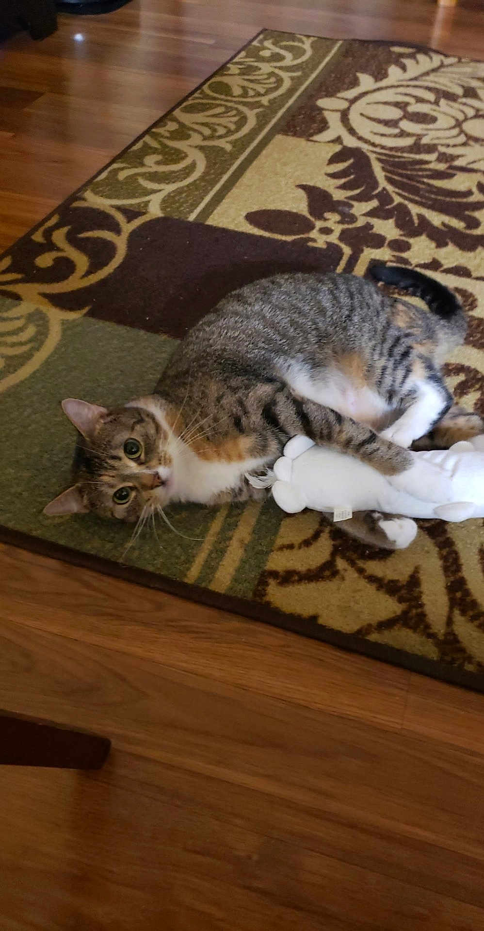 Sophie
