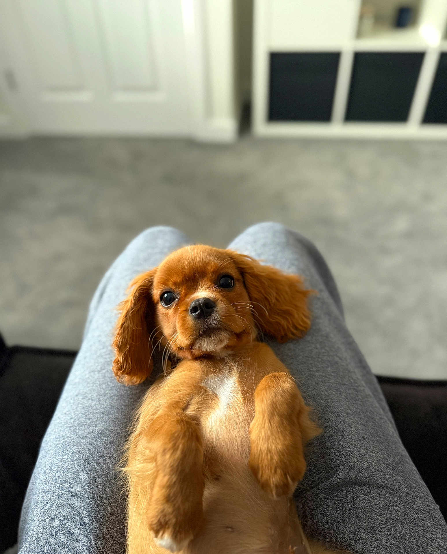 Ezra