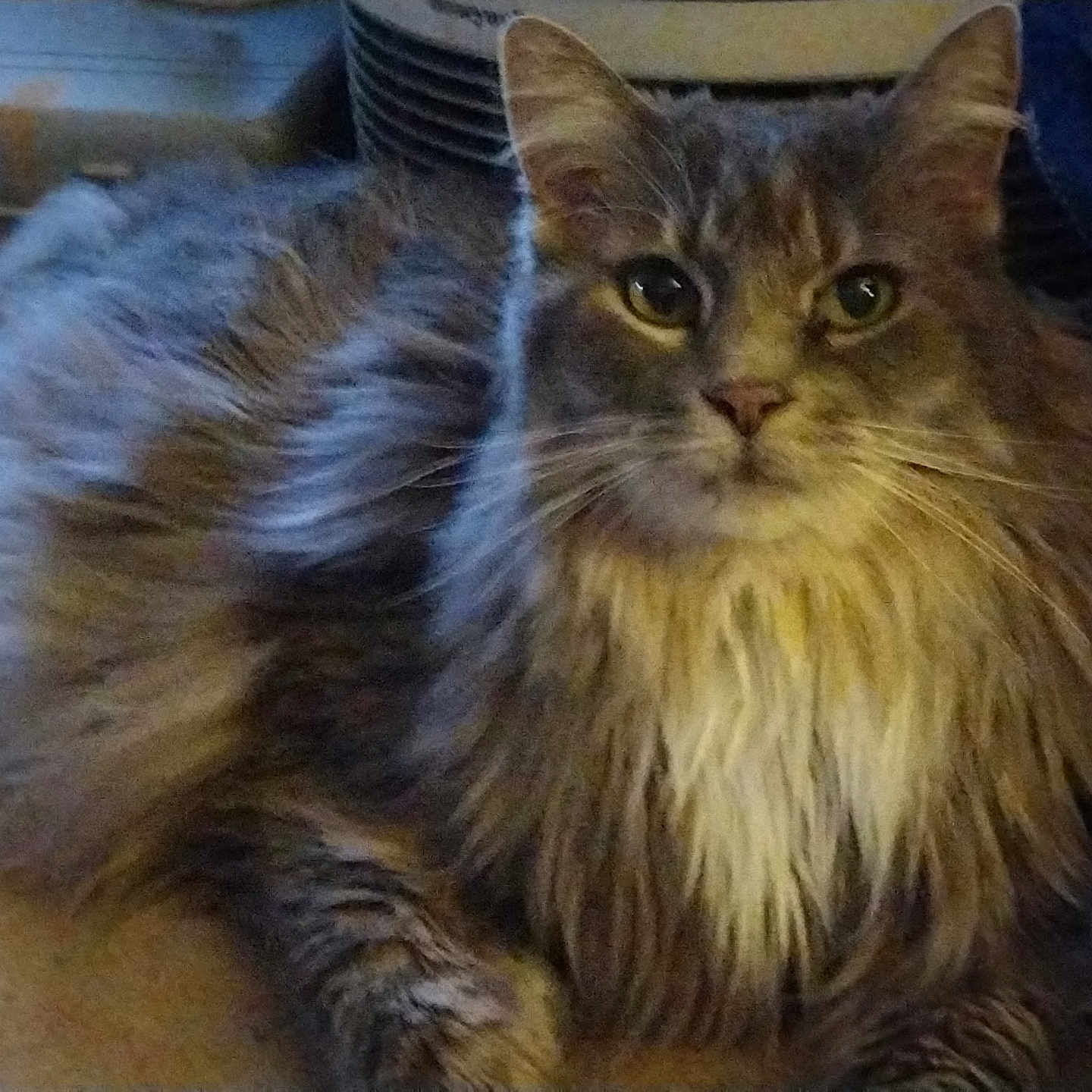 Max