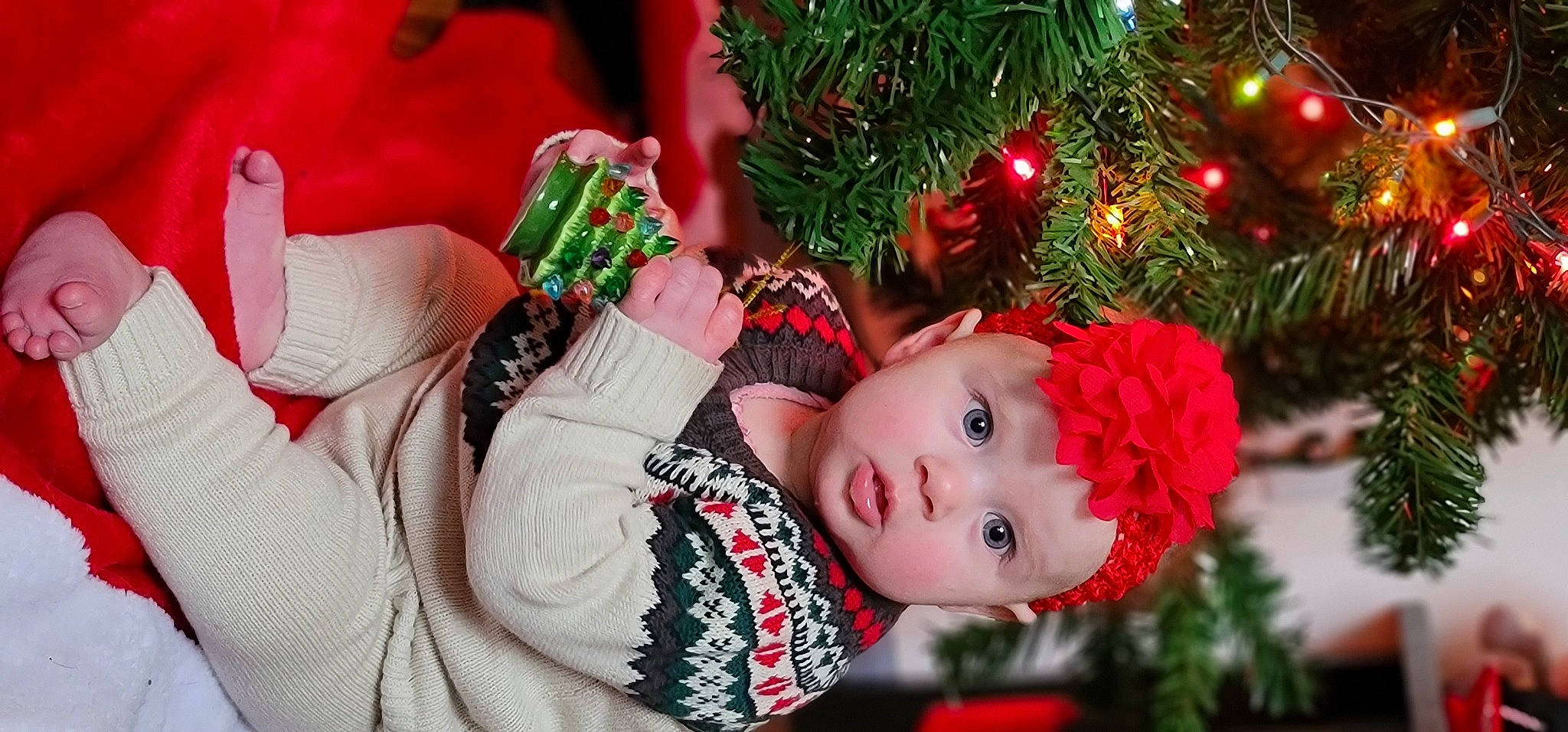 Emelia is registered to the contest to win money with this photo: carmine, christmas, christmas_decoration, christmas_eve, christmas_ornament, christmas_tree, conifer, doll, dress, event, evergreen, grass, happy, headwear, holiday, holiday_ornament, ornament, person, plant, toy