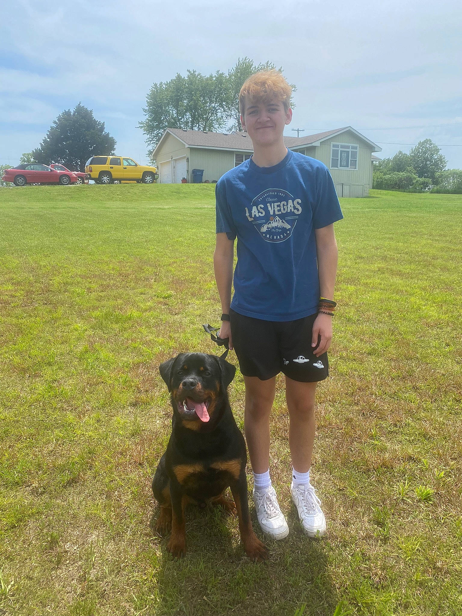 Dino is registered to the contest to win money with this photo: carnivore, cloud, companion_dog, dog, dog_breed, fun, grass, grassland, guard_dog, happy, landscape, leash, pasture, prairie, shorts, sky, sporting_group, t_shirt, tree, working_animal