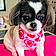 Gracie Lou