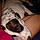 Tobey