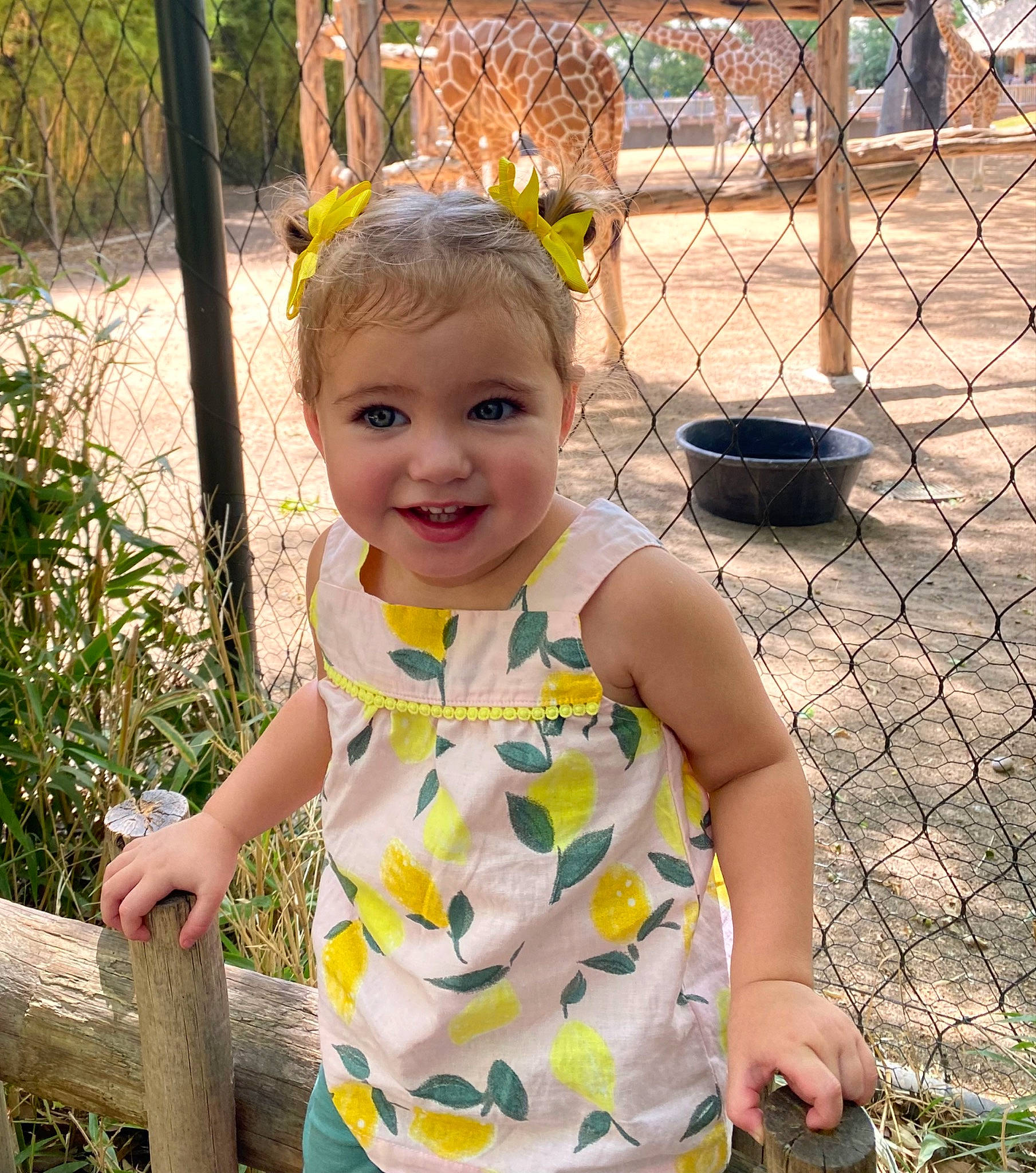 Bexley is registered to the contest to win money with this photo: baby_toddler_clothing, child, fence, fun, grass, green, happy, iris, joy, leaf, leisure, people_in_nature, person, plant, product, recreation, skin, smile, summer, t_shirt