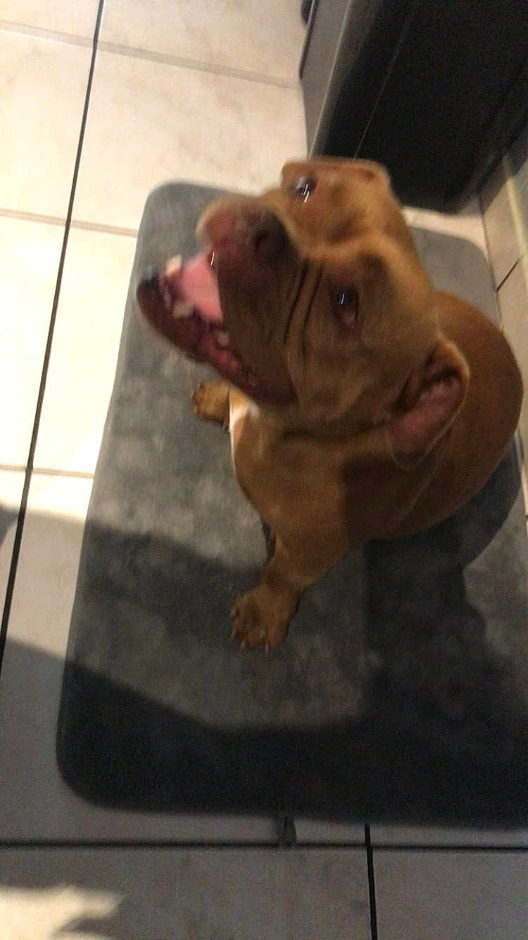 Yum Yum