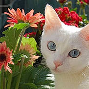 Chanel participe au concours pour gagner de l'argent avec cette photo :