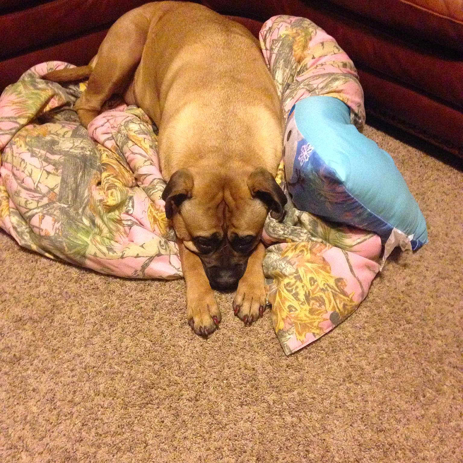 Oden is registered to the contest to win money with this photo: