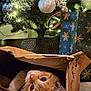 cat, ginger_cat, brown_paper_bag, christmas_tree, ornaments, christmas_lights, gift_bag, snowflake_pattern, floor, indoor, holiday, festive, pet, curious, playful, cozy, closeup, animal, domestic_cat, relaxed