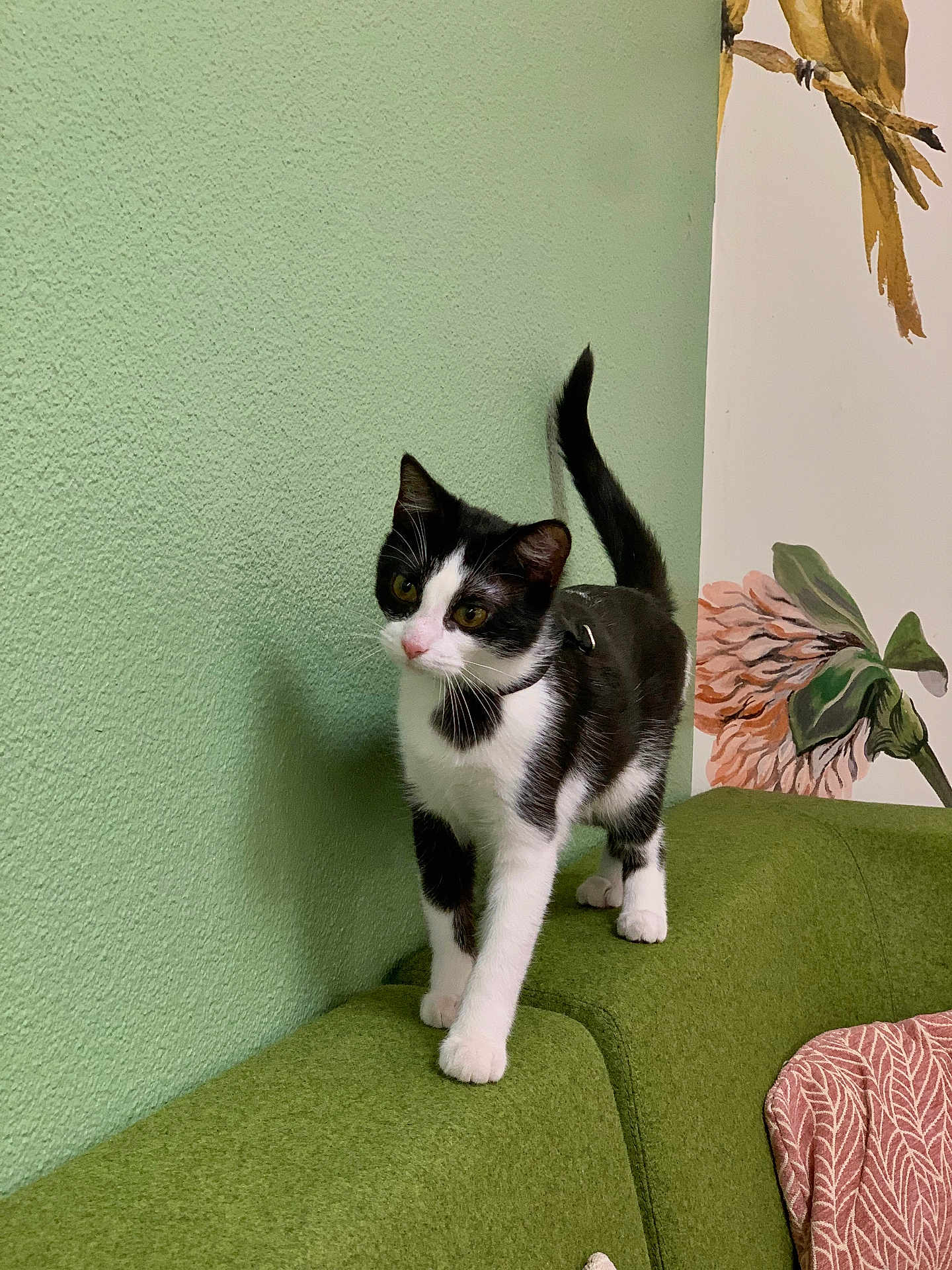 Charlie