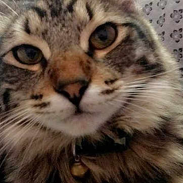 Milo