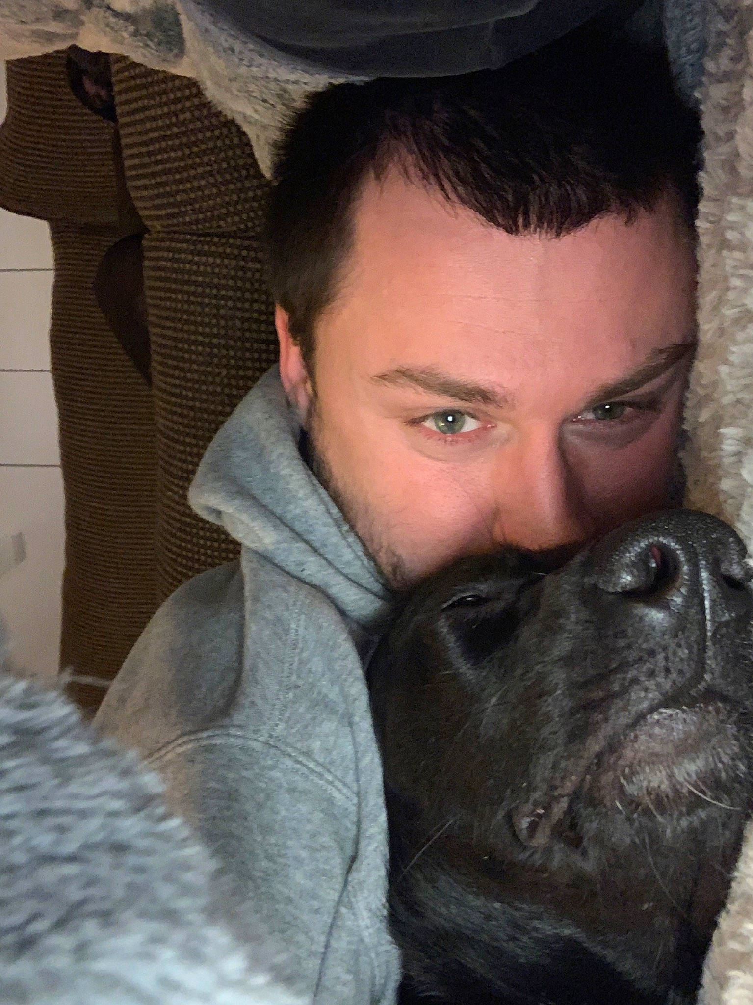 Jasmine joined the competition — help win amazing prizes! black_hair, canidae, carnivore, companion_dog, dog, dog_breed, ear, eye, facial_hair, fawn, french_bulldog, guard_dog, human, neck, non_sporting_group, nose, pug, snout, sporting_group, wrinkle