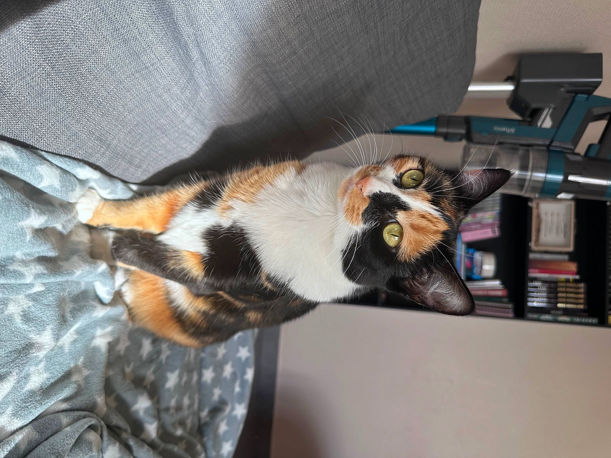 Saya