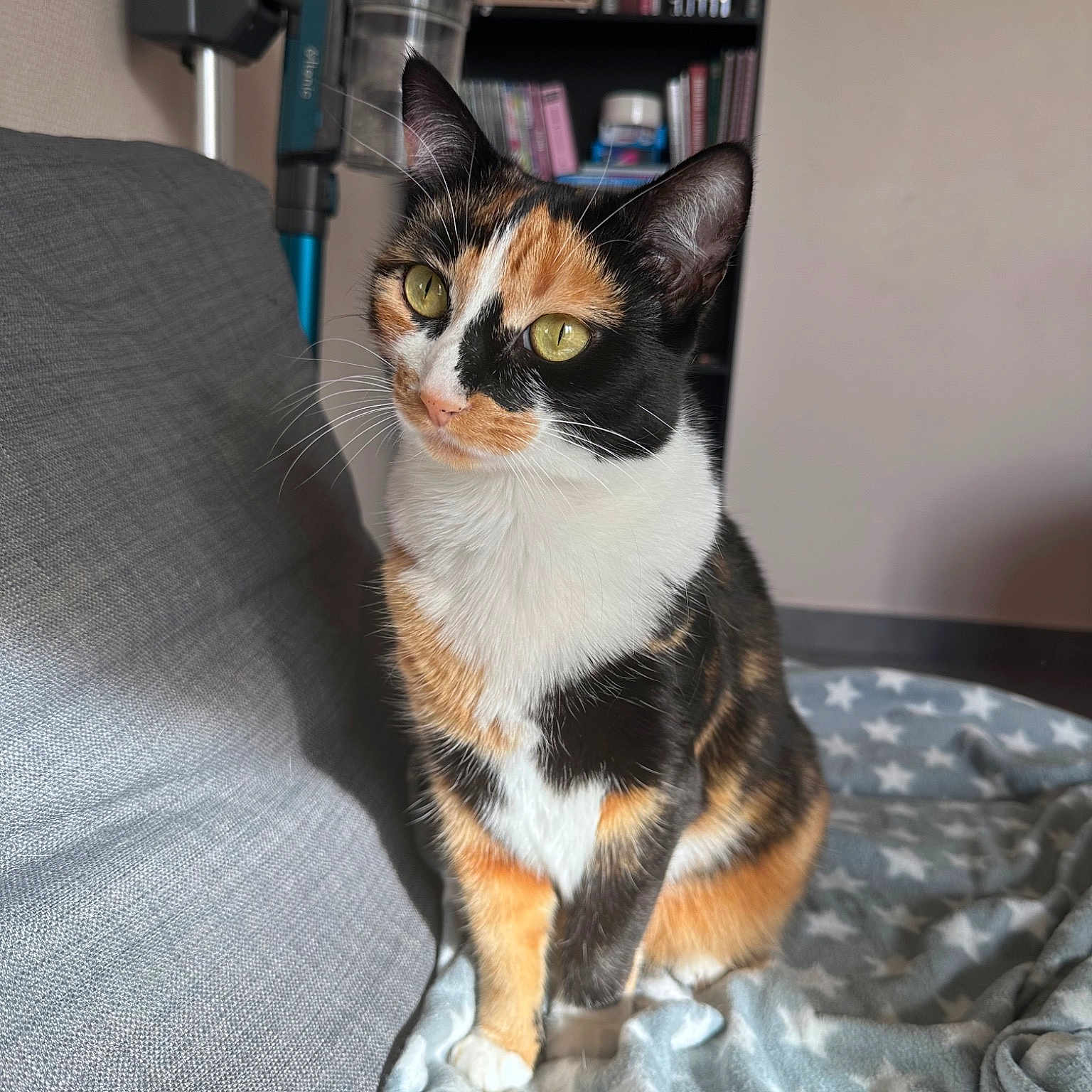 Saya
