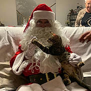 Romeo participe au concours pour gagner de l'argent avec cette photo : santa_claus, cat, tabby_cat, person, elderly_woman, indoor, couch, white_beard, red_suit, glasses, smile, hand, curly_hair, decor, painting, shelf, plant, white_gloves, festive, home