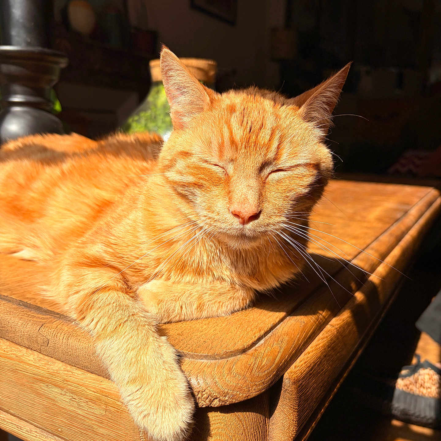 Milo