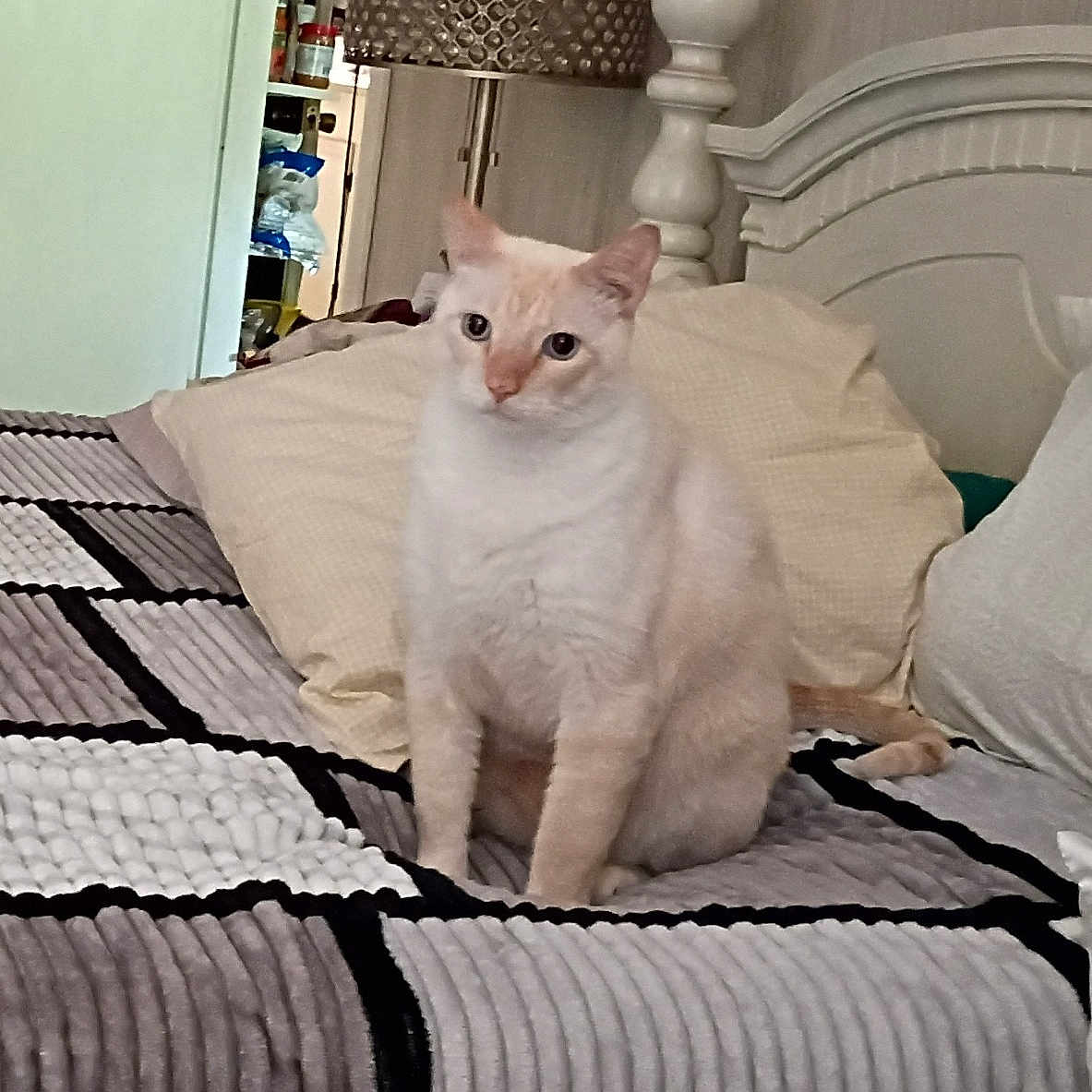 Charles