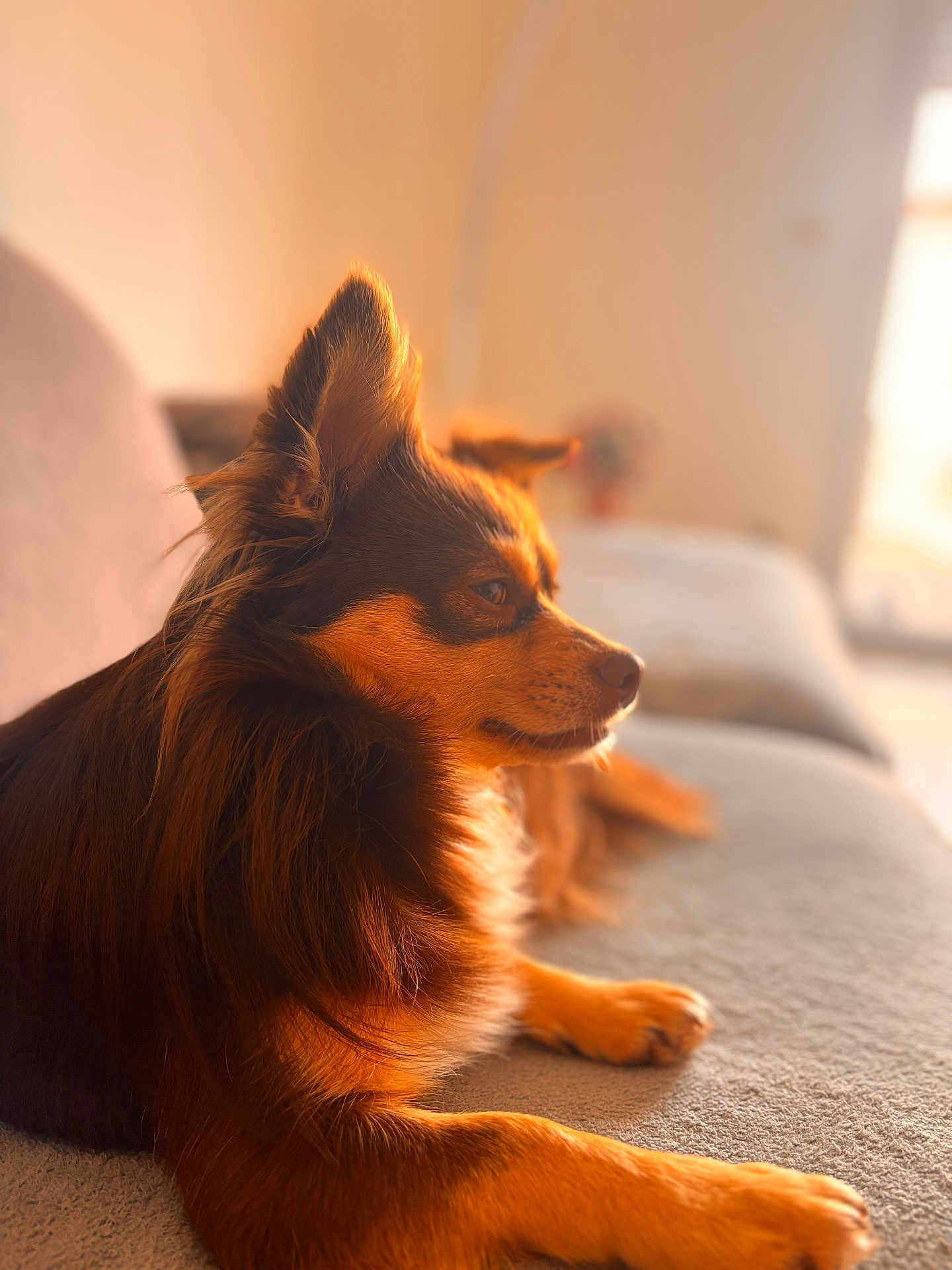 Twix