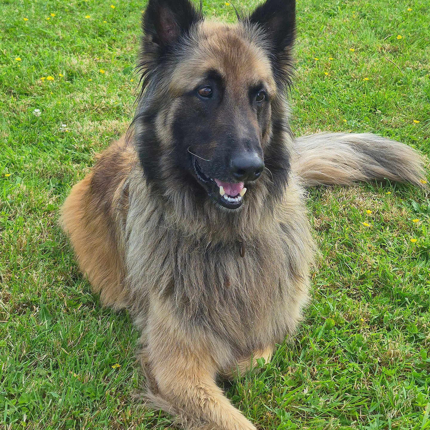 Diego