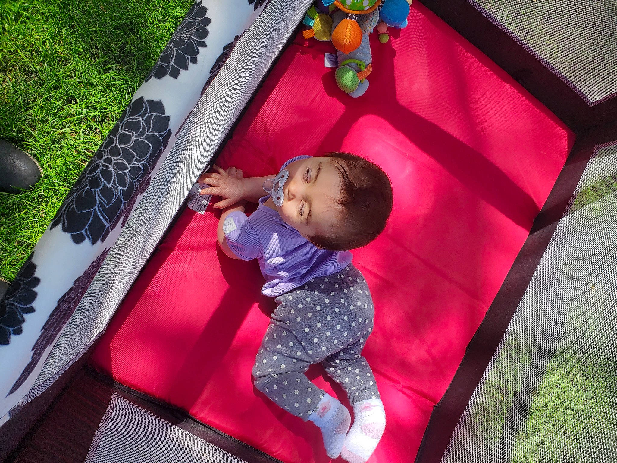 Roselina is registered to the contest to win money with this photo: baby, baby_products, baby_toddler_clothing, carmine, child, flooring, fun, grass, green, leisure, magenta, pattern, person, plant, play, rectangle, room, textile, toddler, toy
