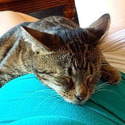 Freebie is registered to the contest to win money with this photo: