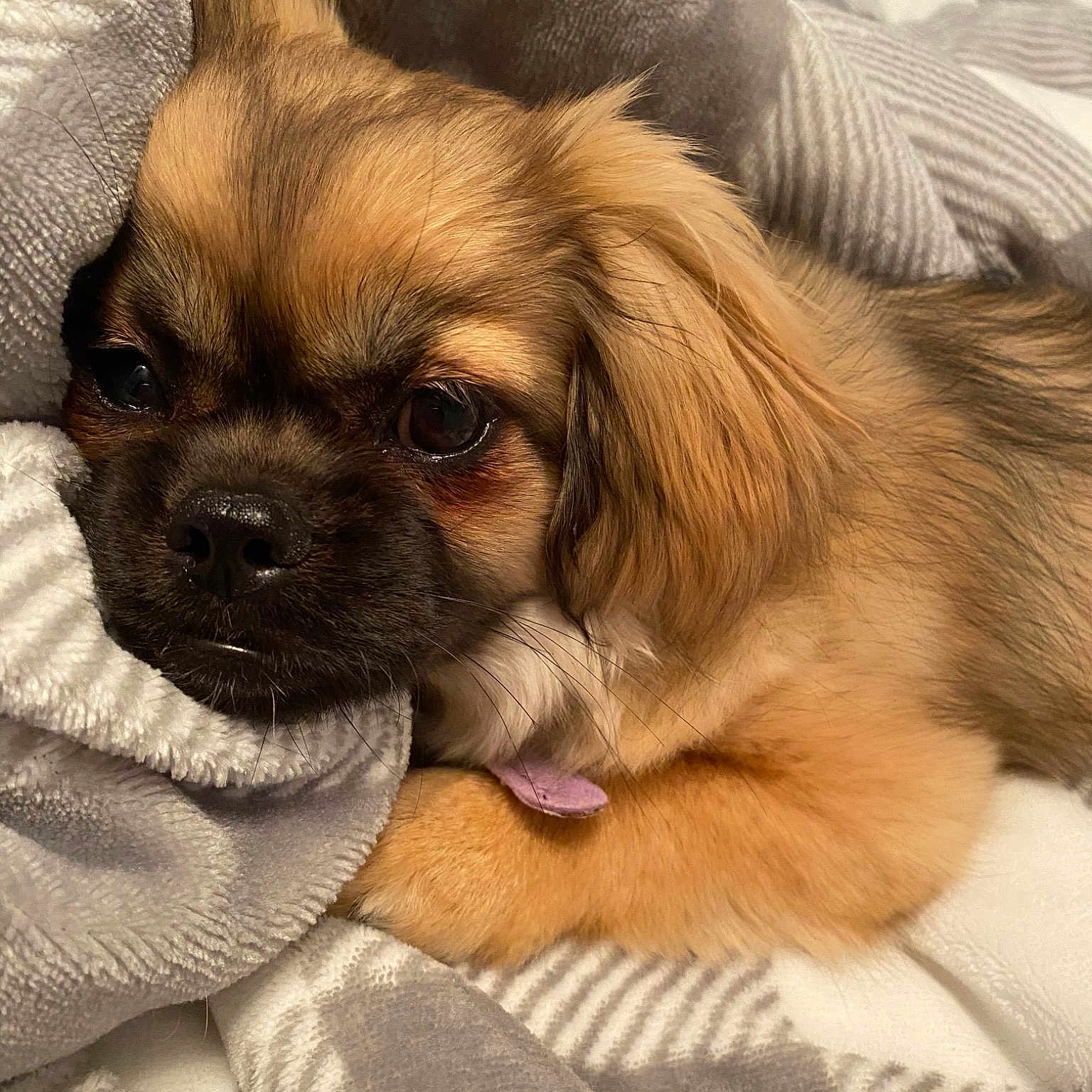 Mia
