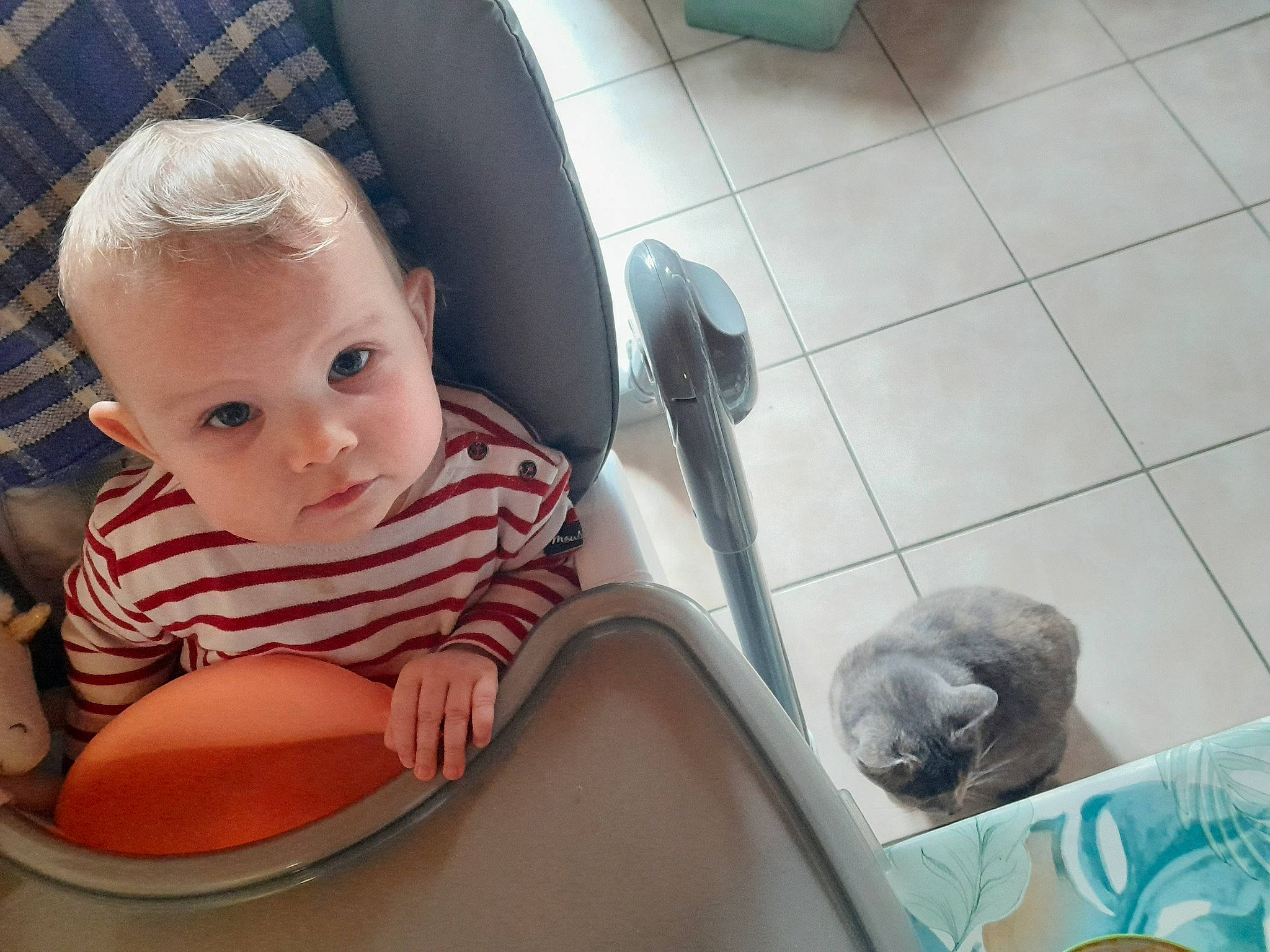 Lèonie participe au concours pour gagner de l'argent avec cette photo : baby, baby_food, baby_products, baby_safety, baby_toddler_clothing, bathing, bib, chair, cheek, child, circle, comfort, felidae, flooring, fun, leisure, person, room, sitting, toddler