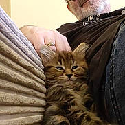 Luna is registered to the contest to win money with this photo: man, glasses, smile, kitten, cat, furry, couch, hand, ring, beard, indoor, relaxing, closeup, pet, fur, cozy, casual_clothing, texture, portrait, resting