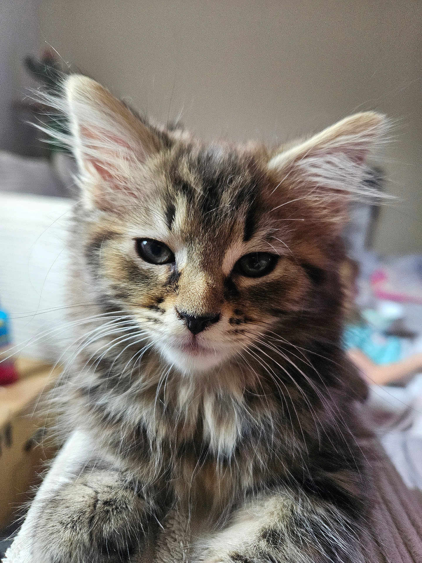 Luna