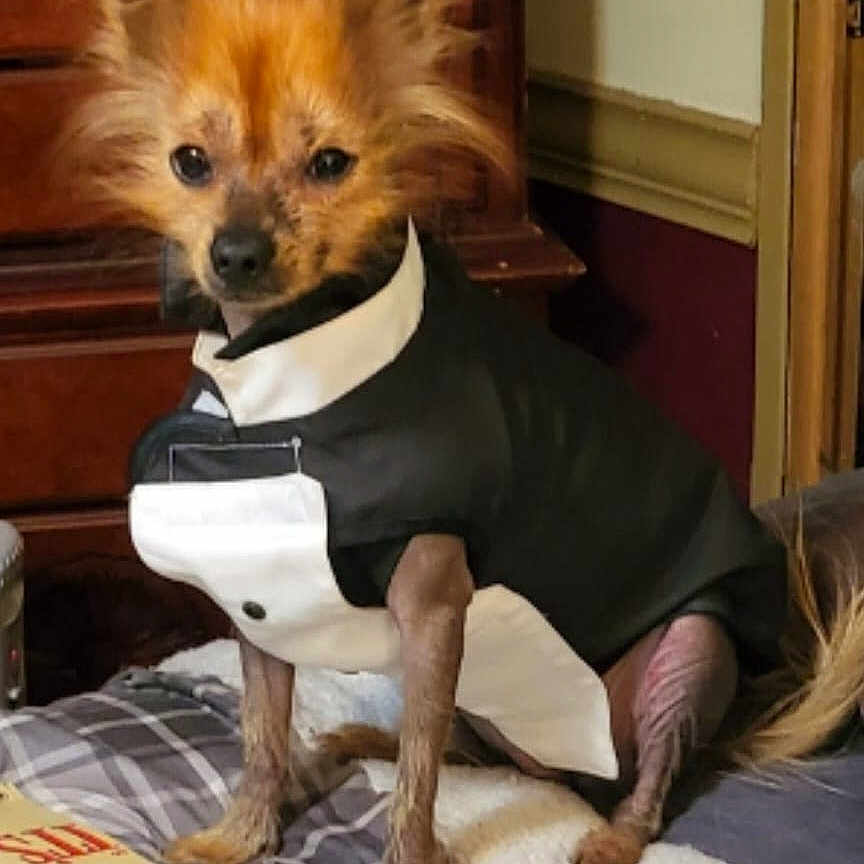 Baxter