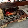 dog, fireplace, fire, hearth, brick, indoor, home, mantel, family_photos, portrait_frames, brown_dog, gray_fur, lying_down, pet, living_room, wooden_mantel, warmth, tiles, cozy, flash_photography