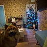 Sven participe au concours pour gagner de l'argent avec cette photo : dog, living_room, christmas_tree, holiday_decorations, ornaments, wood_floor, furniture, television, wallpaper, cozy, indoor, pet, festive, lights, table, santa_figurine, curious, decor, home, warm