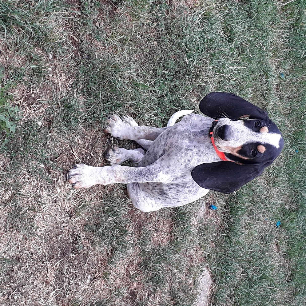 Rita