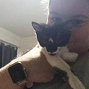 Poupette Et Aïko a rejoint le concours — aidez-le/la à gagner de superbes lots ! person, kitten, cat, pet, indoor, smartwatch, wearable, holding, closeup, face, paw, black_and_white, feline, animal, curtain, window, soft_light, shadow, casual, portrait