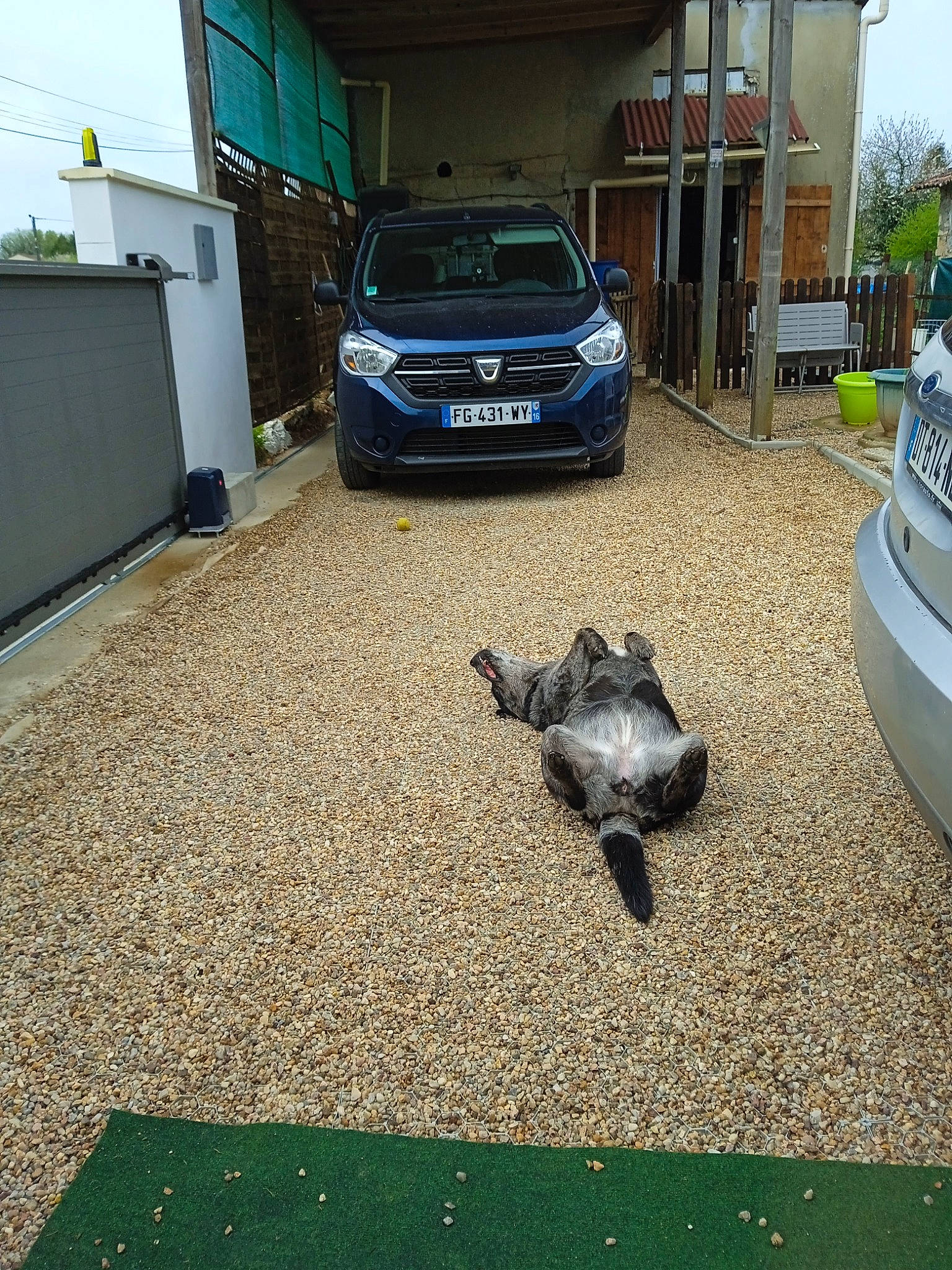 Laïka a rejoint le concours — aidez-le/la à gagner de superbes lots ! alloy_wheel, asphalt, automotive_design, automotive_exterior, automotive_lighting, automotive_parking_light, automotive_tire, building, bumper, car, hood, land_vehicle, motor_vehicle, plant, road_surface, tire, vehicle, vehicle_door, vehicle_registration_plate, wheel