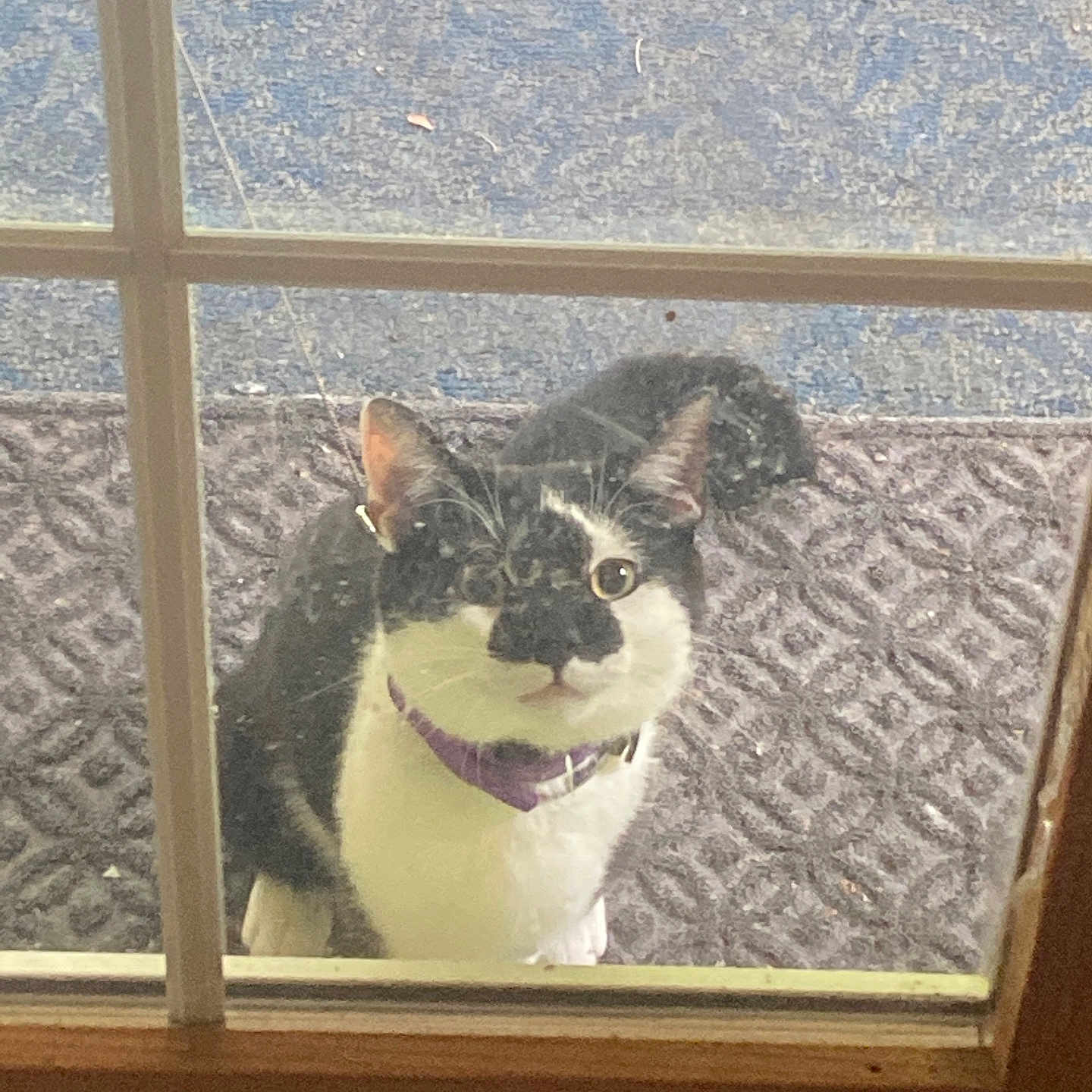 Max