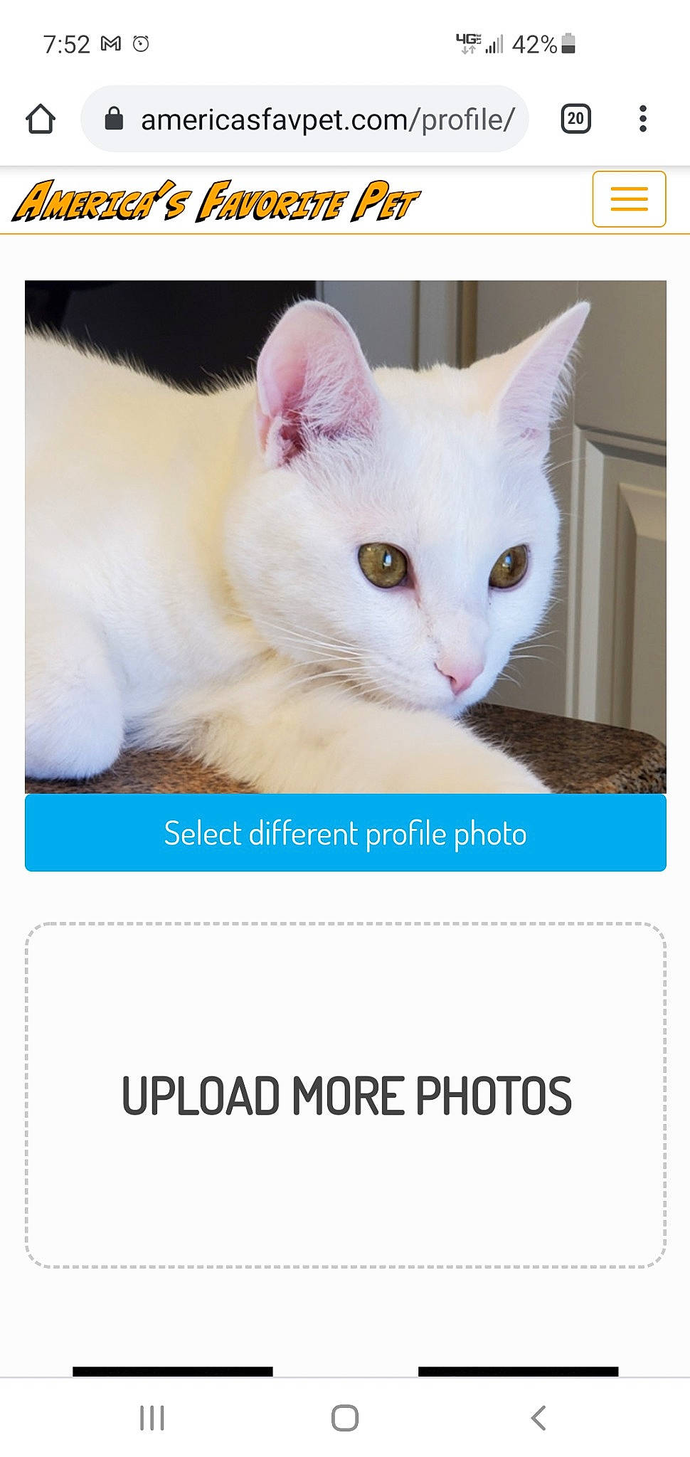 Ava is registered to the contest to win money with this photo: carnivore, cat, felidae, font, fur, internet_meme, paw, pet_supply, photo_caption, product, rectangle, screenshot, small_to_medium_sized_cats, snout, technology, terrestrial_animal, whiskers