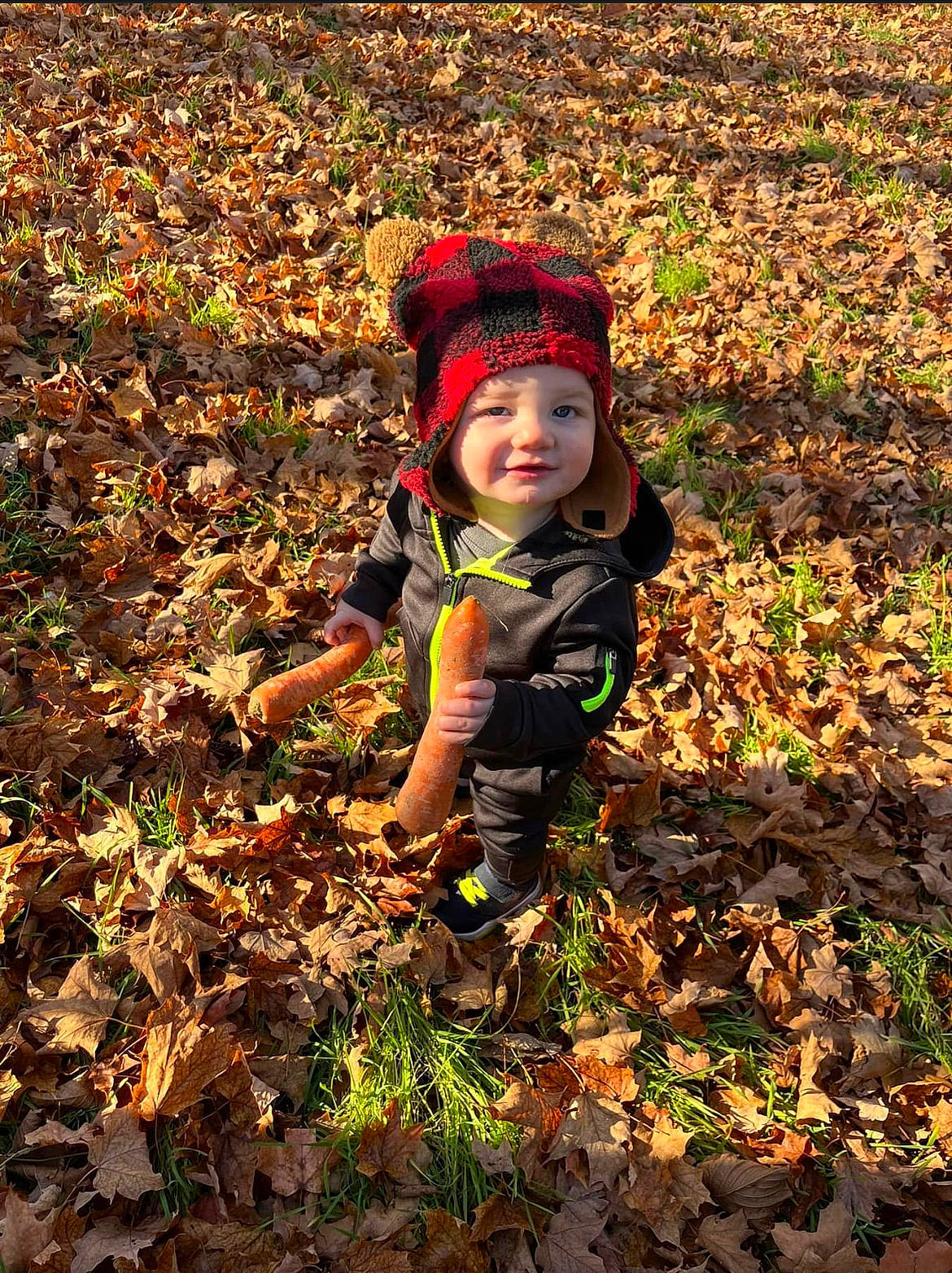 Brady joined the competition — help win amazing prizes! autumn, baby, baby_toddler_clothing, child, deciduous, forest, grass, groundcover, happy, headwear, landscape, people_in_nature, person, plant, shadow, soil, toddler, tree, wood, woodland