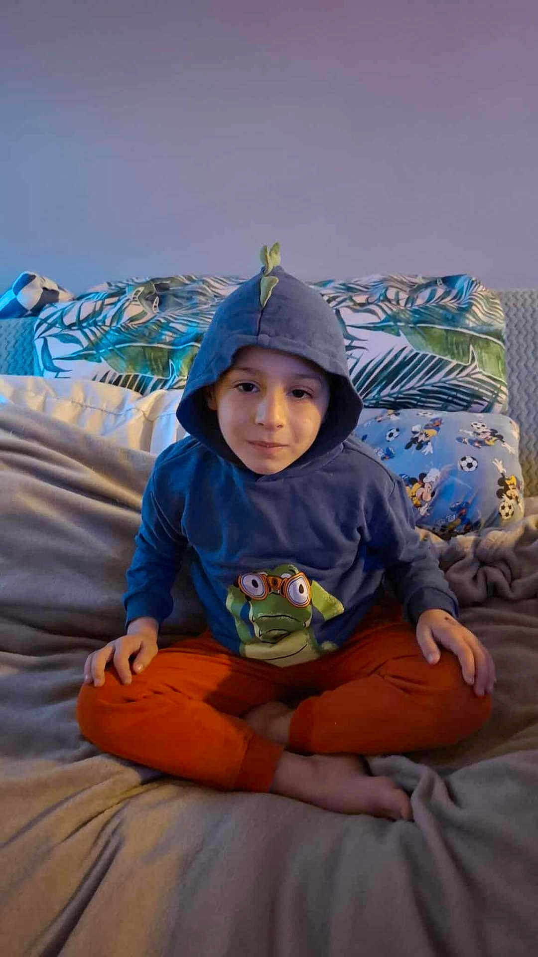 Kyo G participe au concours pour gagner de l'argent avec cette photo : child, boy, hoodie, frog_graphic, orange_pants, bed, blanket, pillow, indoor, casual_clothing, sitting, cross_legged, calm_expression, young, cozy, soft_lighting, cartoon_pillow, leafy_pattern, relaxed, portrait