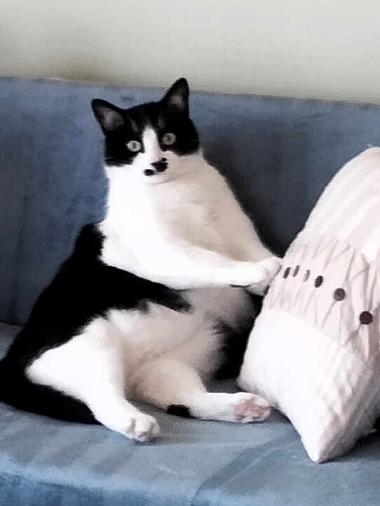 Berlioz
