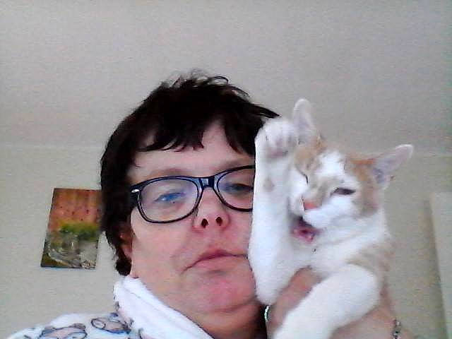 Mozart a rejoint le concours — aidez-le/la à gagner de superbes lots ! carnivoran, cat, cat_like_mammal, ear, eyewear, face, fur, glasses, kitten, nose, person, small_to_medium_sized_cats, vision_care, whiskers