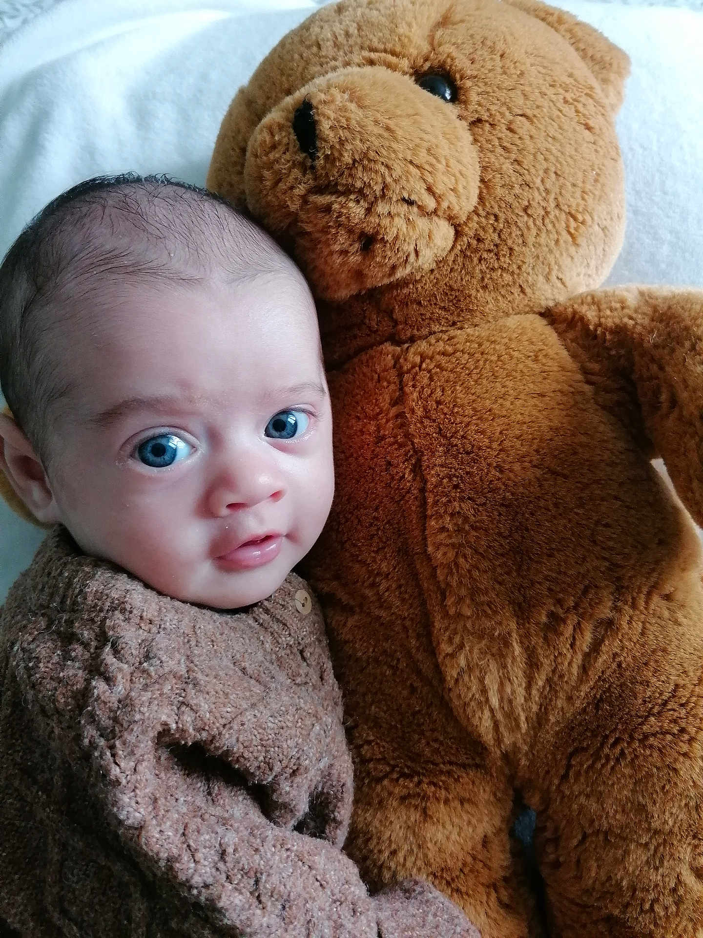 Hugo participe au concours pour gagner de l'argent avec cette photo : baby, teddy_bear, plush_toy, knitted_sweater, blue_eyes, cuddling, soft_texture, indoor, portrait, child, cute, infant, close_up, warm, comfort, toy, sleepy, face, expression, friendship