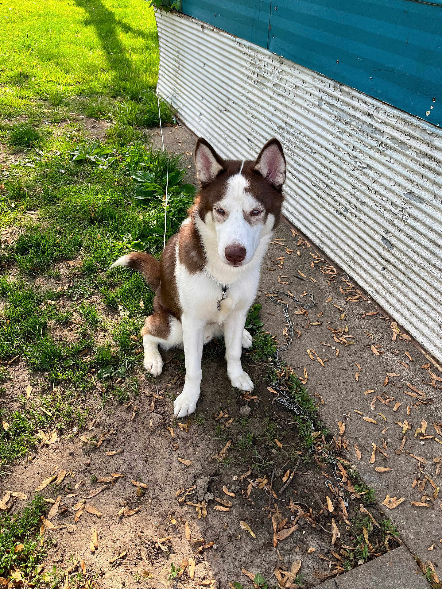 Jax