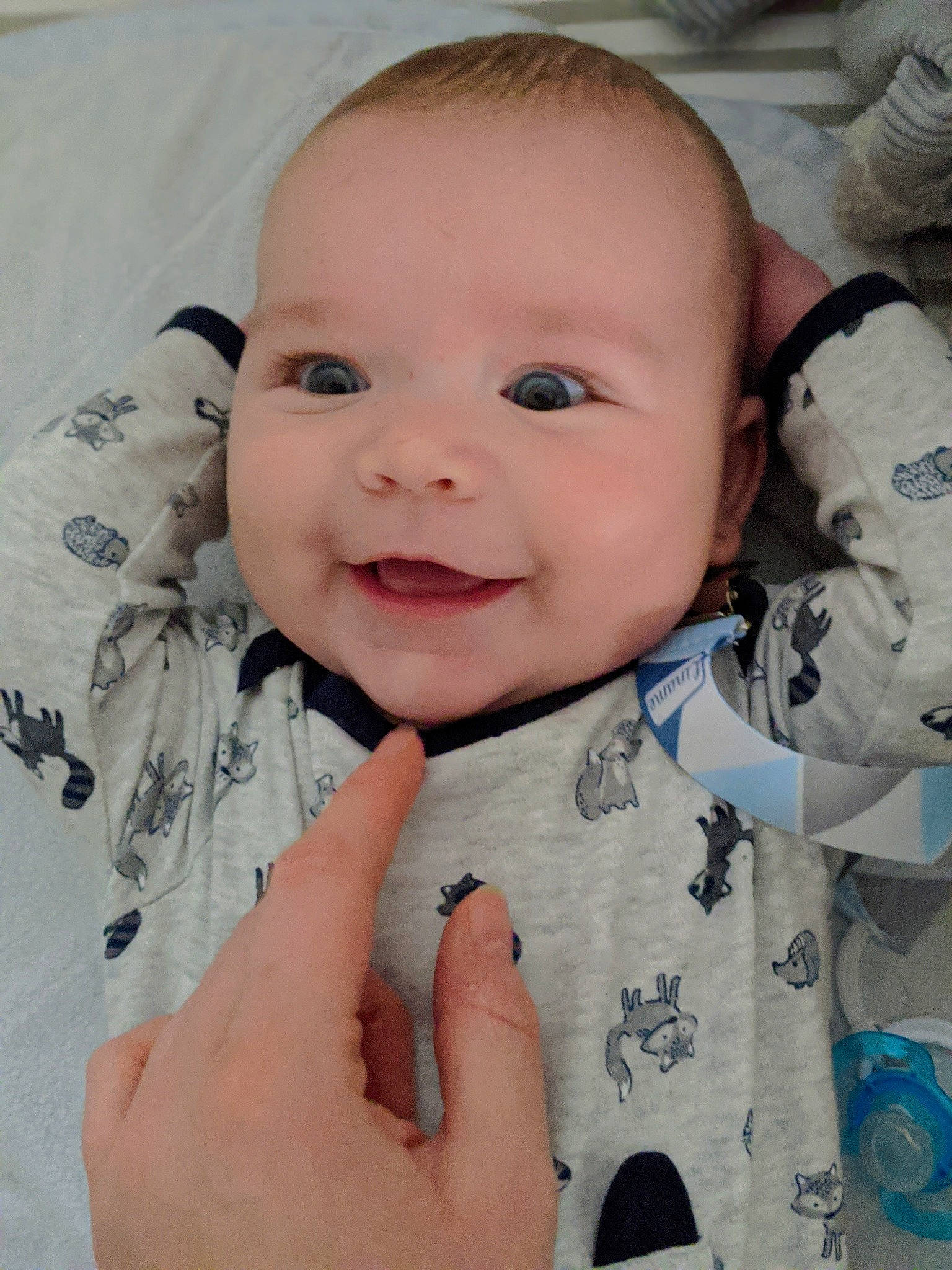 Quentin joined the competition — help win amazing prizes! baby, cheek, child, chin, eye, eyebrow, face, facial_expression, finger, forehead, gesture, hand, head, iris, joy, lip, mouth, nose, person, skin
