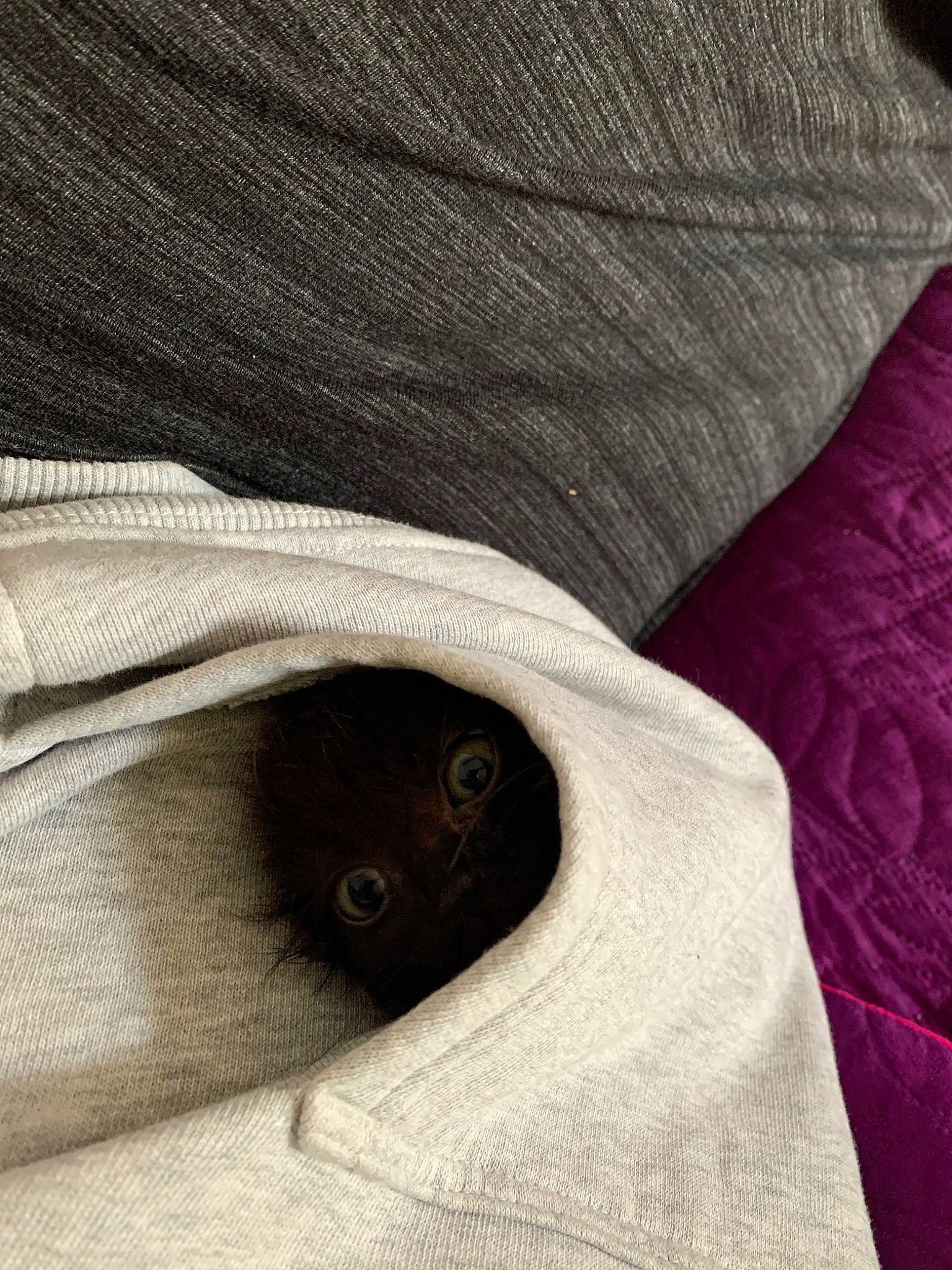 Opium participe au concours pour gagner de l'argent avec cette photo : beige, button, close_up, hand, linen, linens, sleeve, t_shirt, textile, woven_fabric